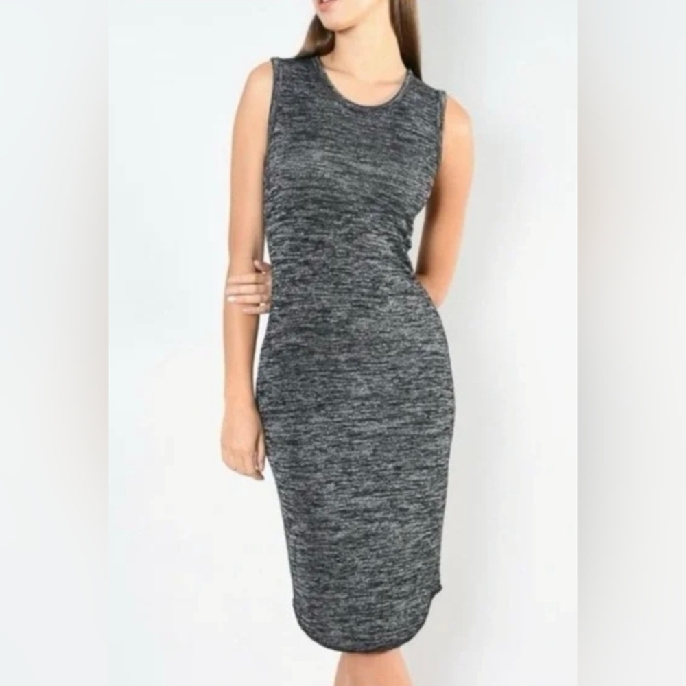 ARITZIA Wilfred Free Bruni Dress